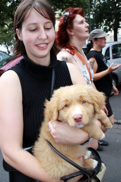 Hunde-Demo   054.jpg